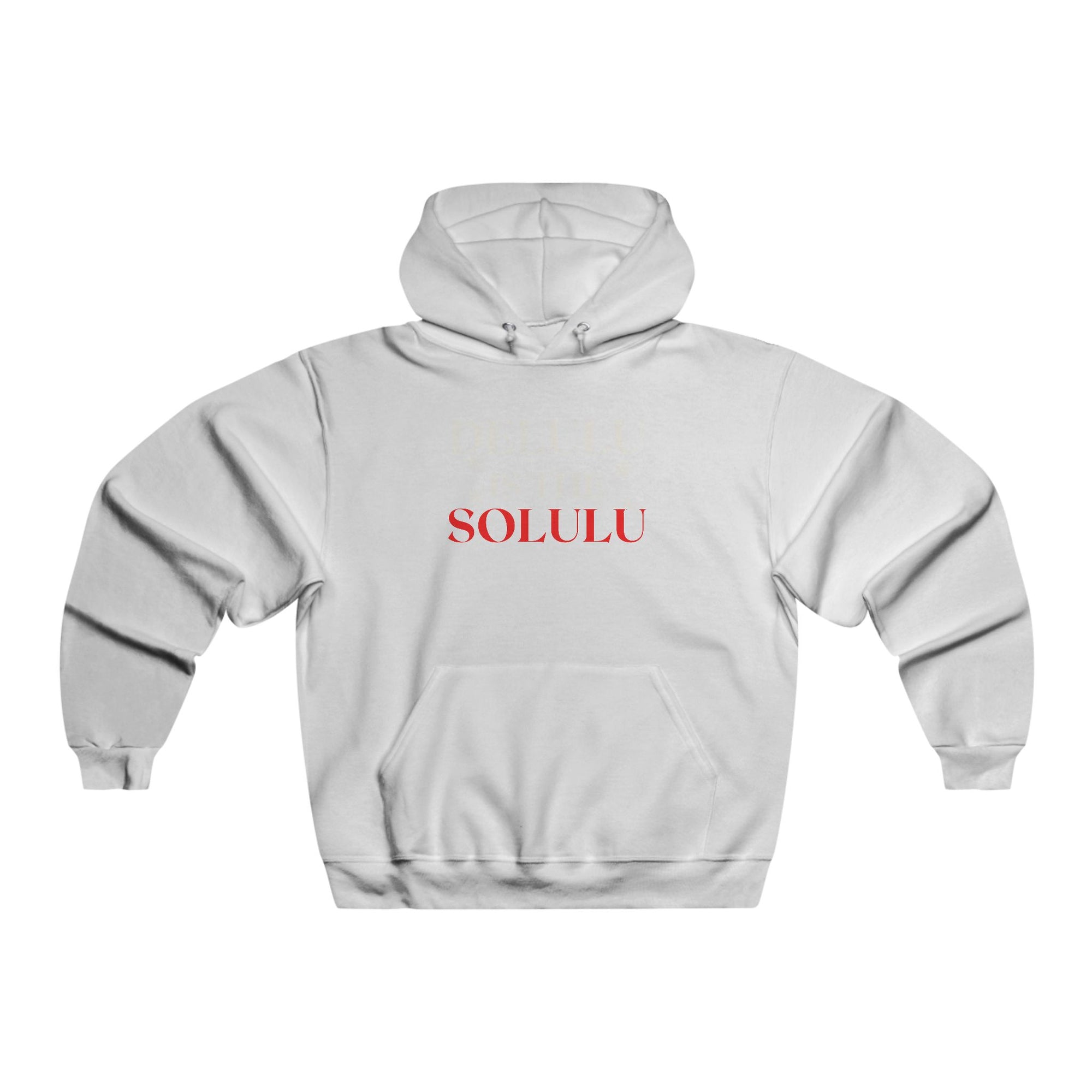 Delulu Is the Solulu Hoodie – Cozy Chaos. Confident Delusion.